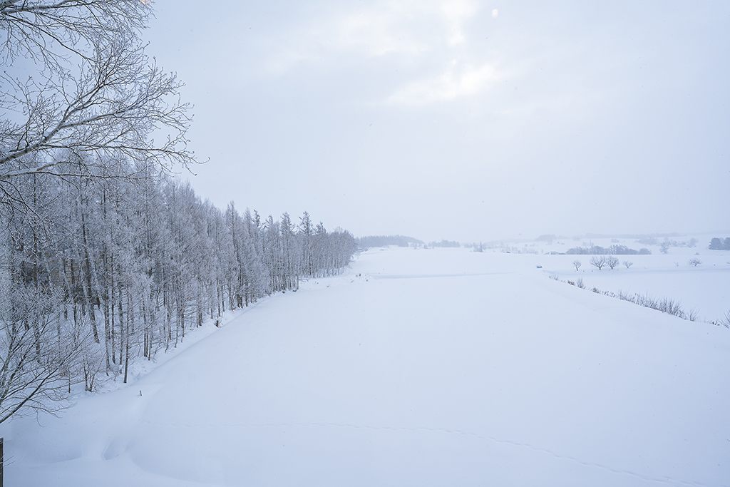 緩慢北海道