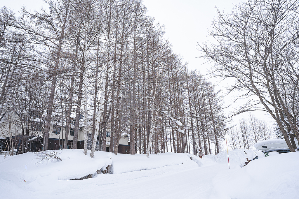 緩慢北海道