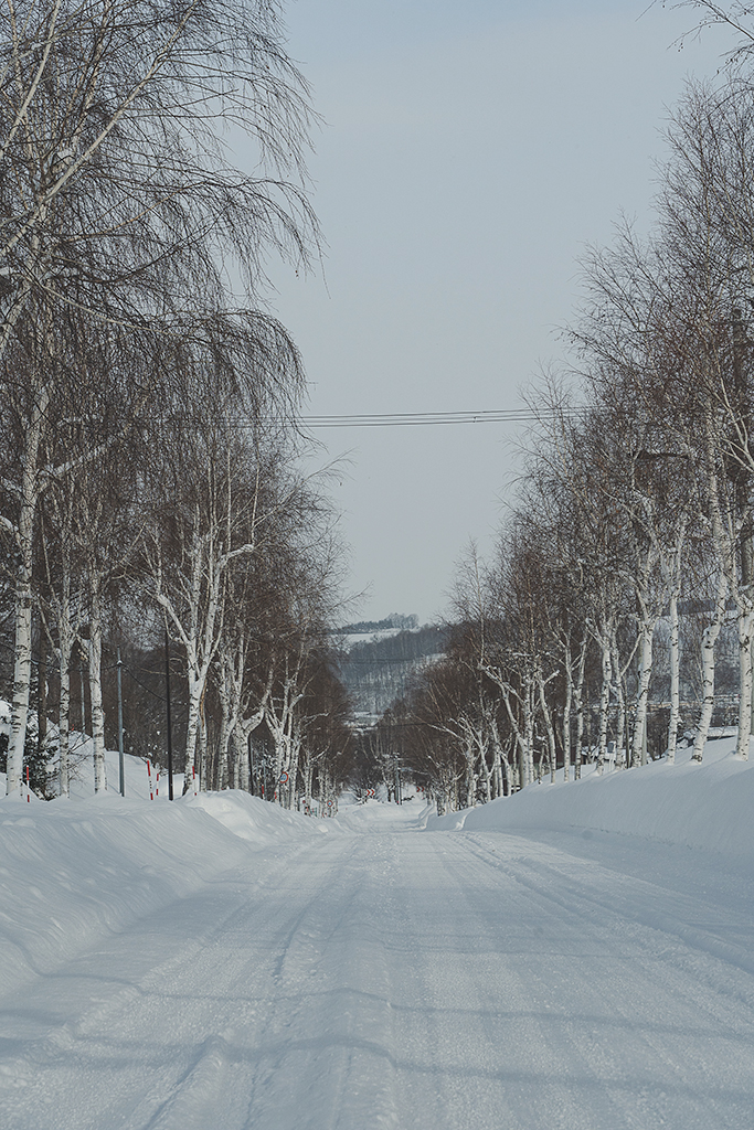 緩慢北海道