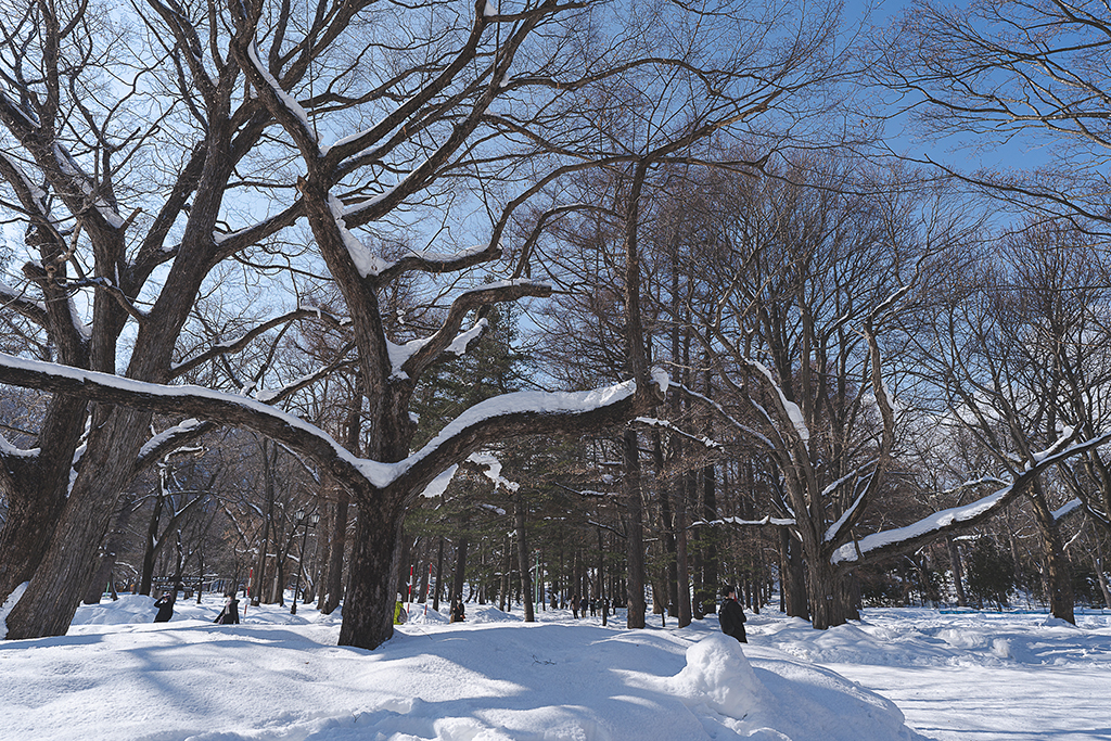 圓山公園