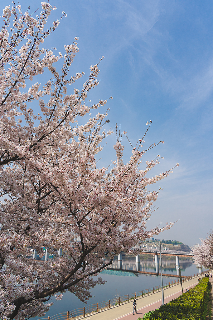 峨洋橋