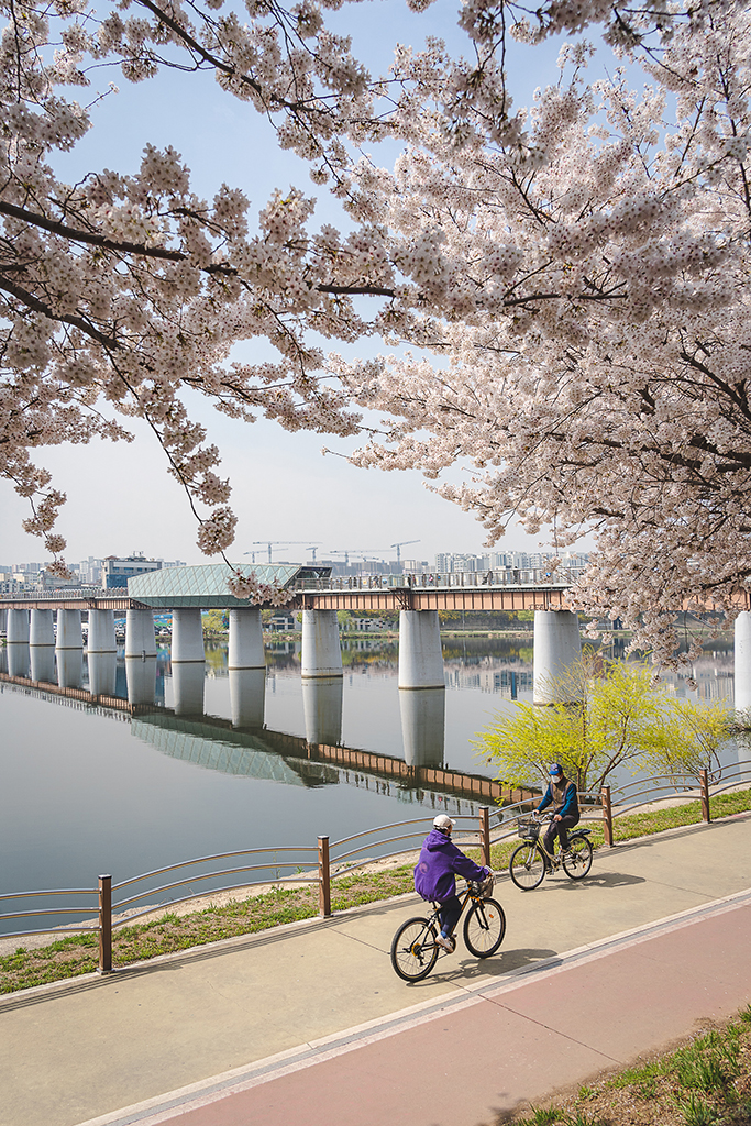 峨洋橋