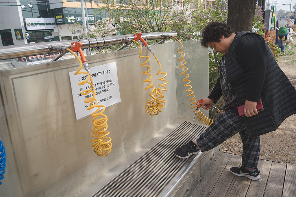 枝底洞櫻花隧道