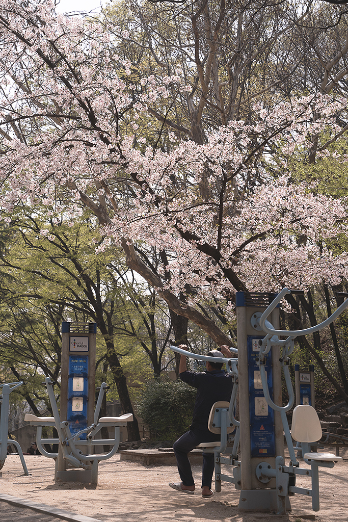 達城公園