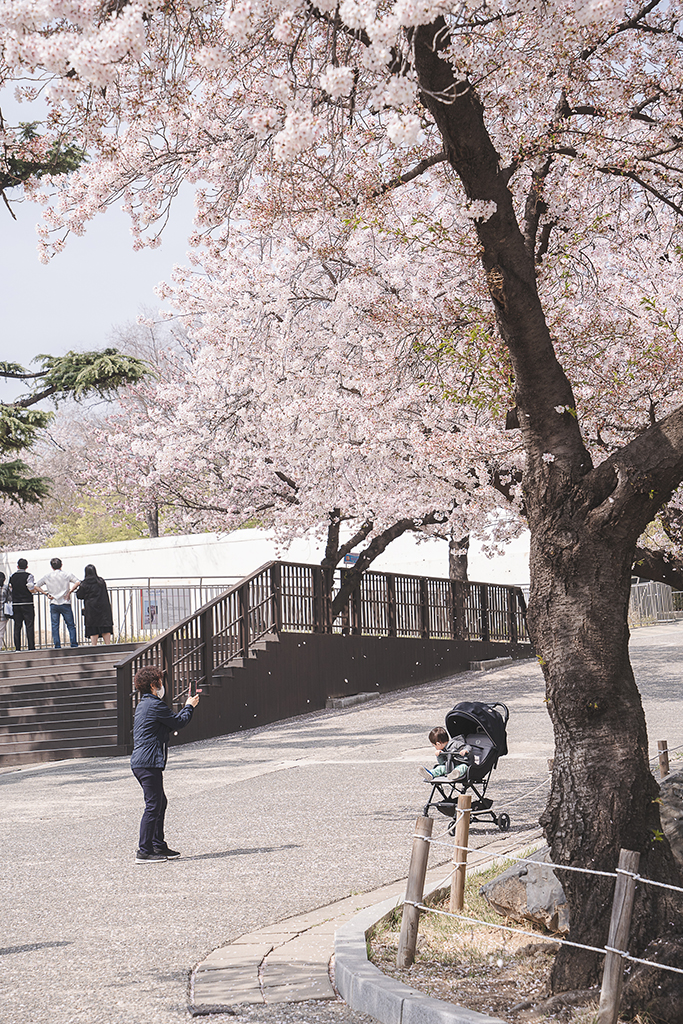 達城公園