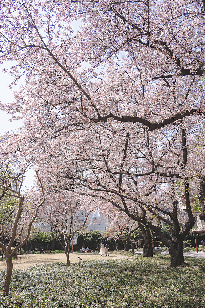 尚慶監營公園