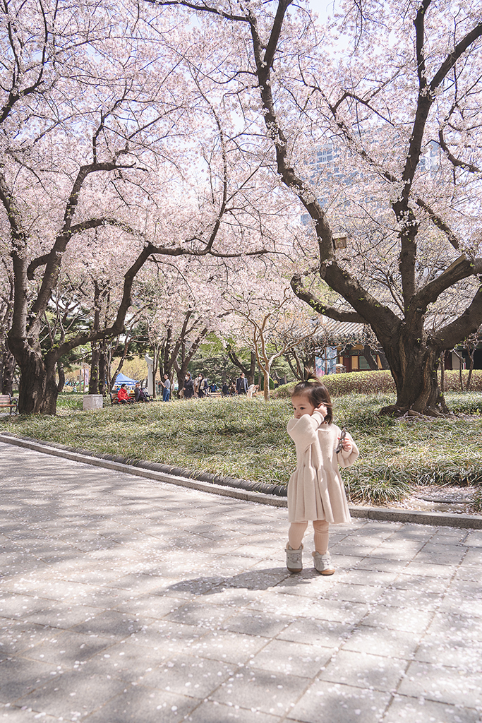 尚慶監營公園