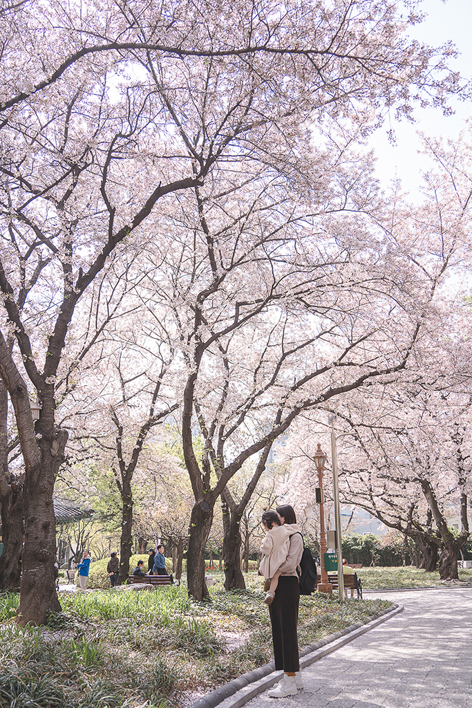 尚慶監營公園