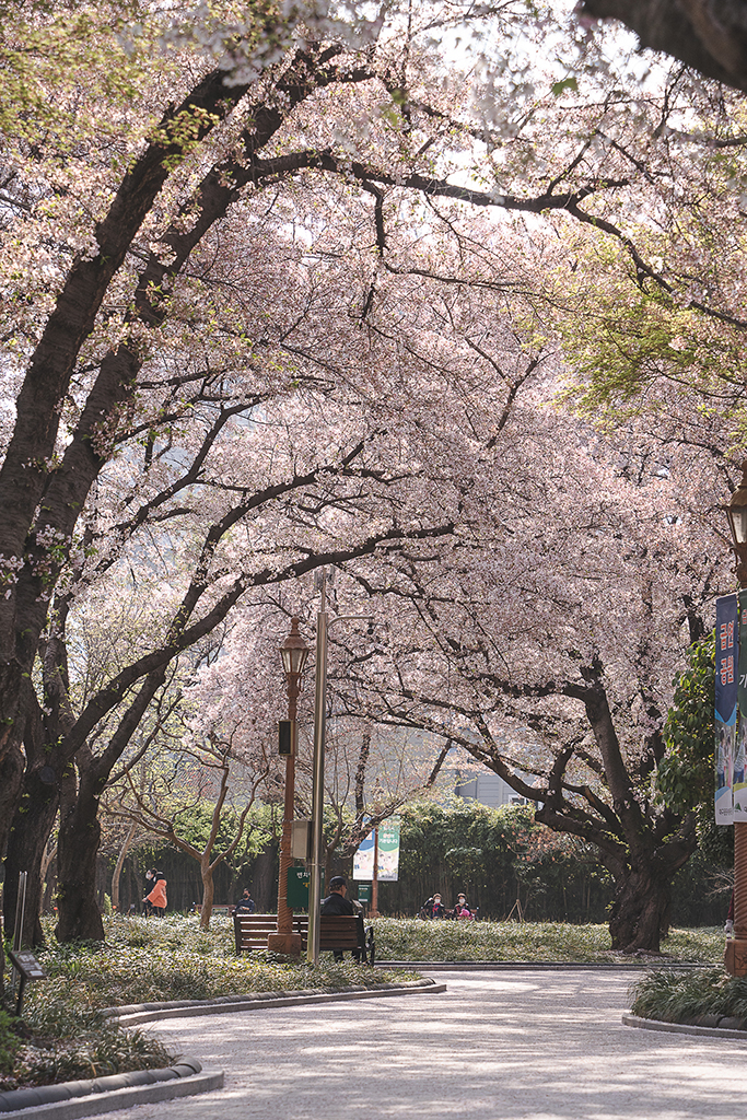 尚慶監營公園