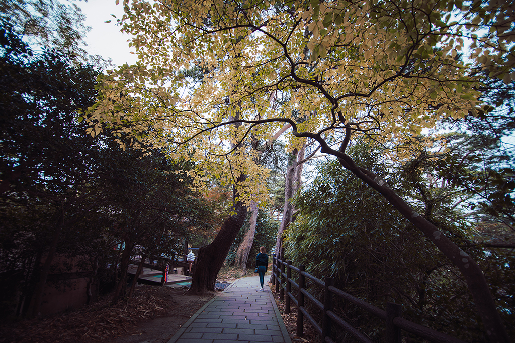 松島