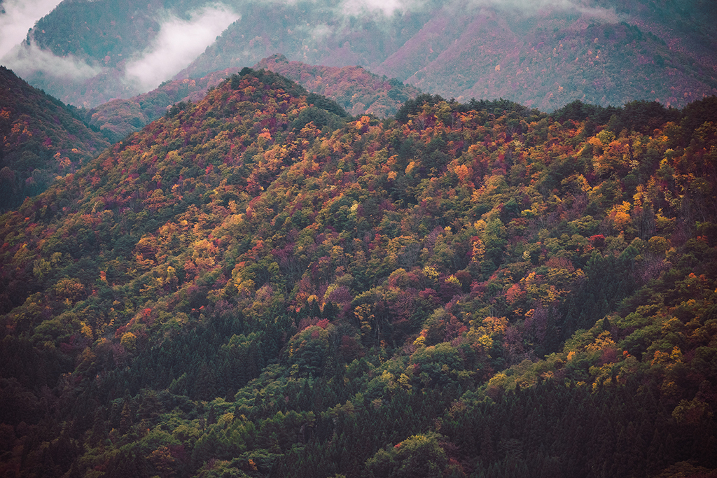  山寺