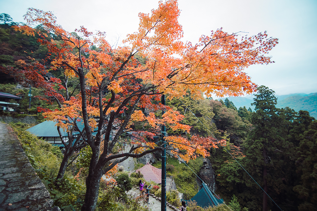  山寺