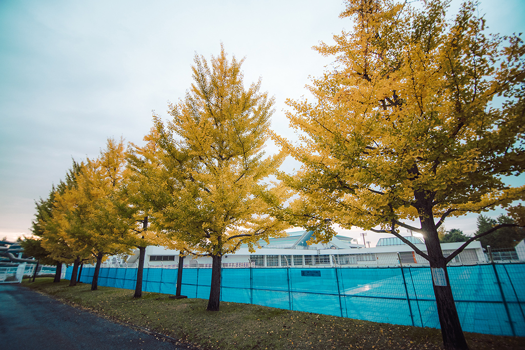 山形縣綜合運動公園