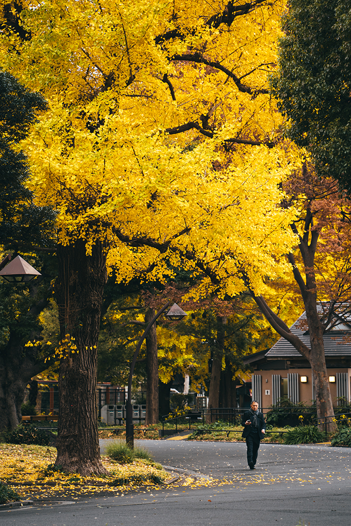 日比谷公園