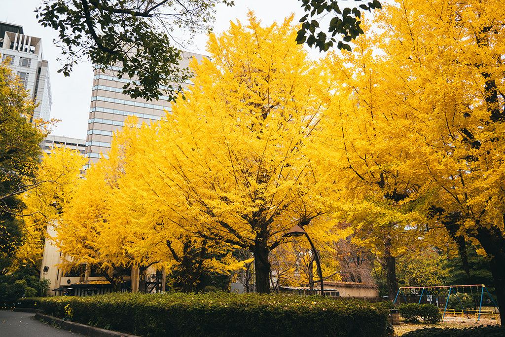 日比谷公園