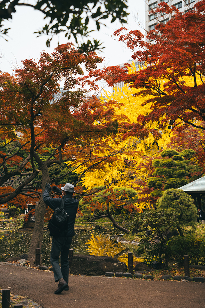 日比谷公園