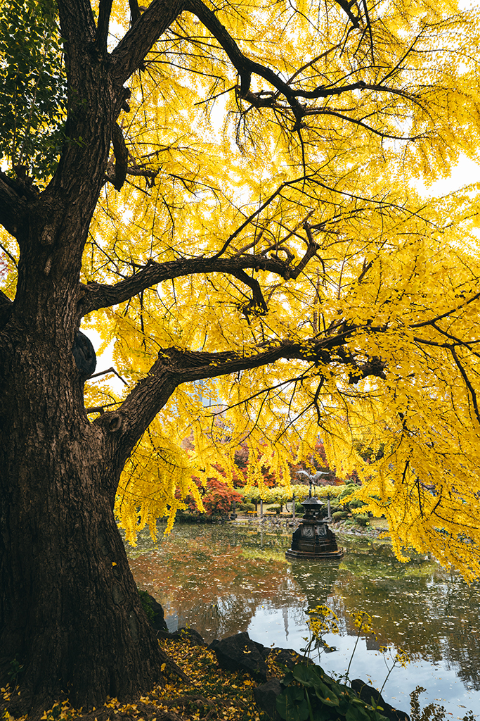 日比谷公園