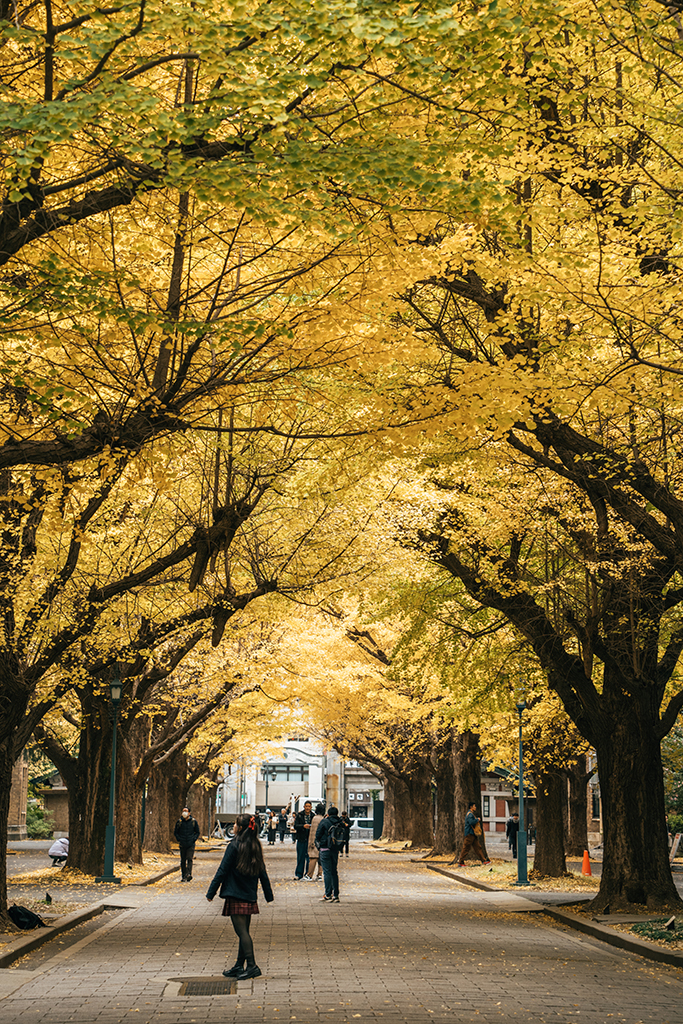 東京大學