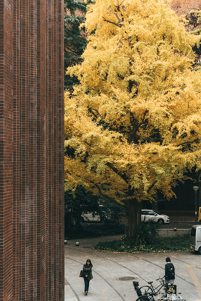 東京大學