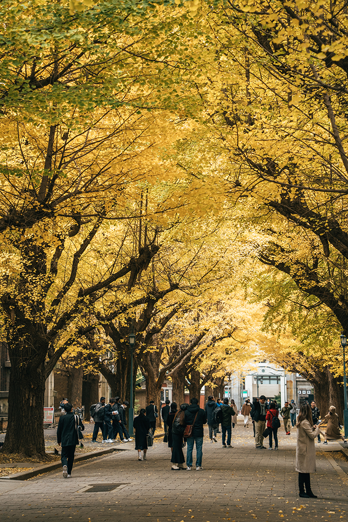 東京大學