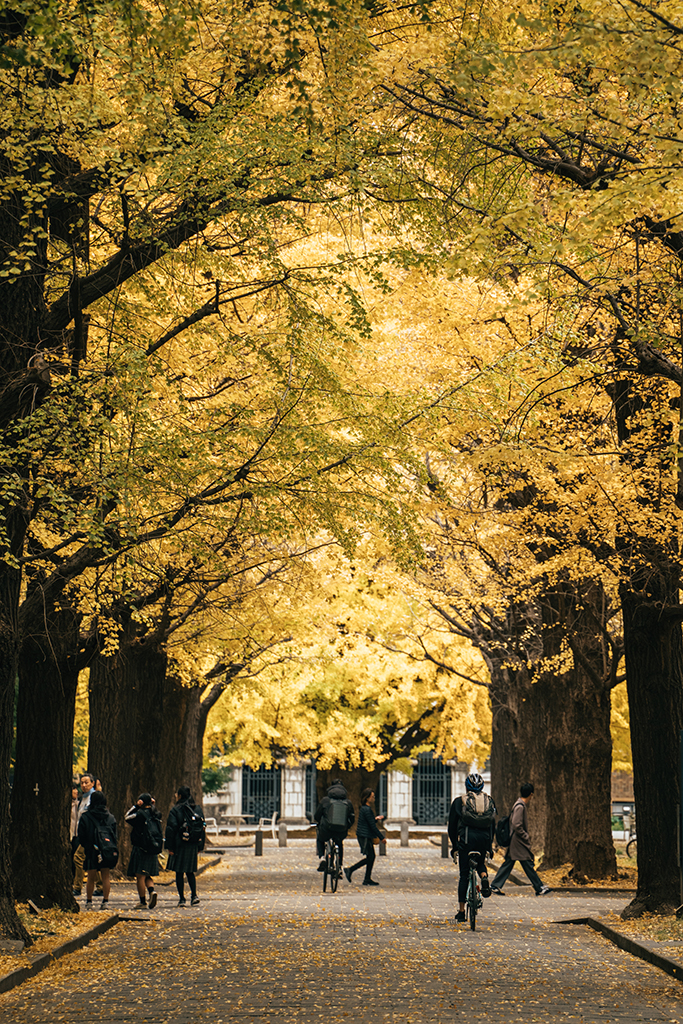 東京大學