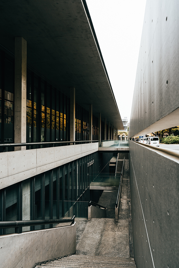 東京大學