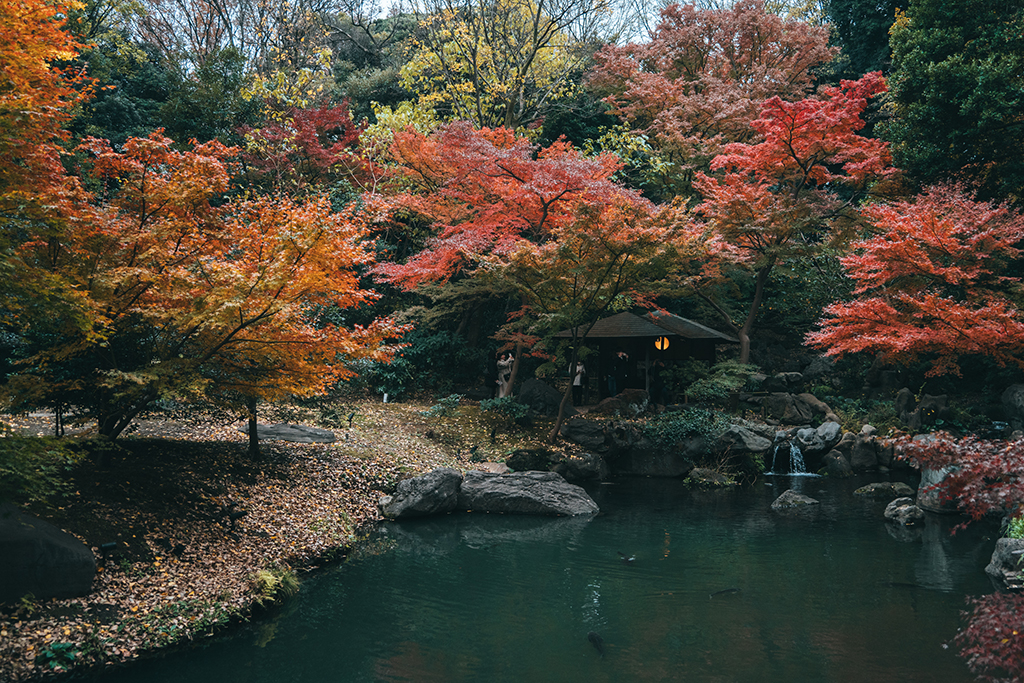 六義園