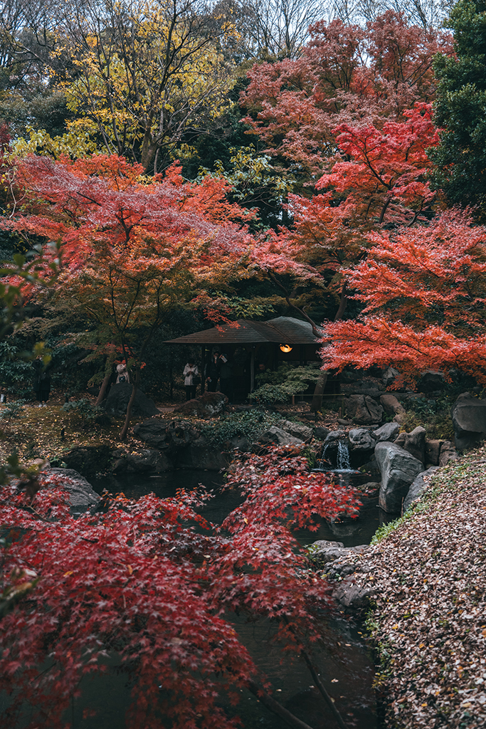 六義園