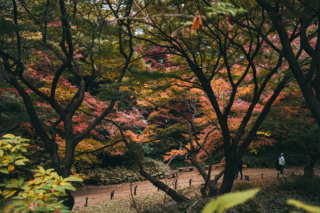 六義園