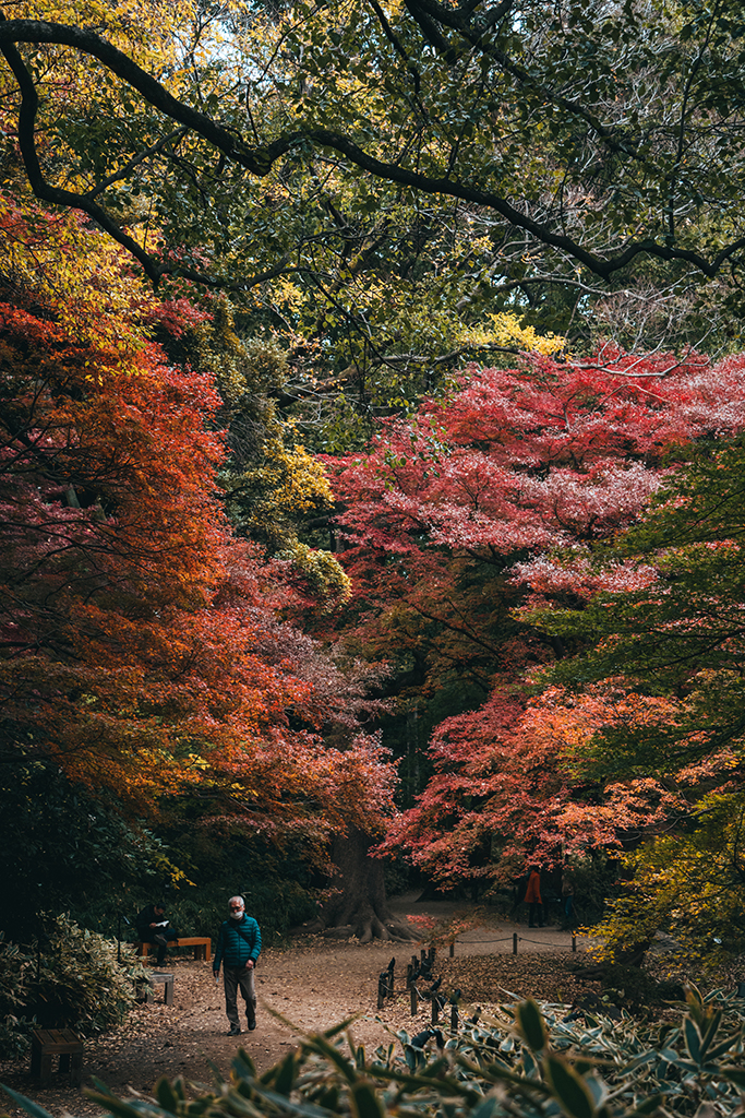 六義園