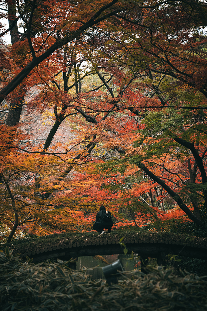 六義園