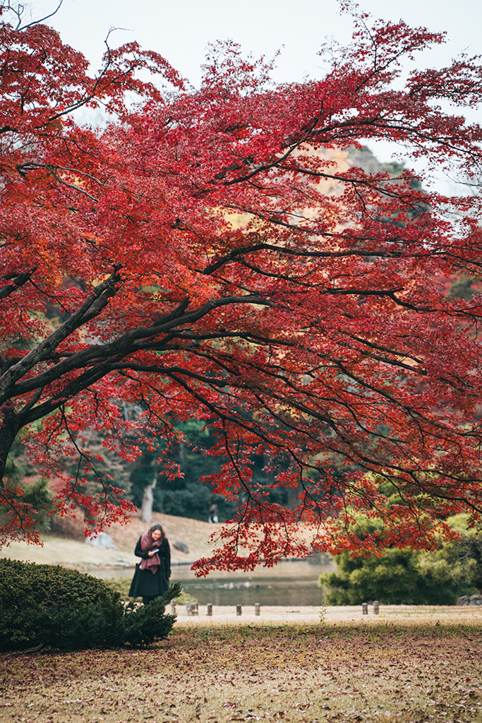 六義園