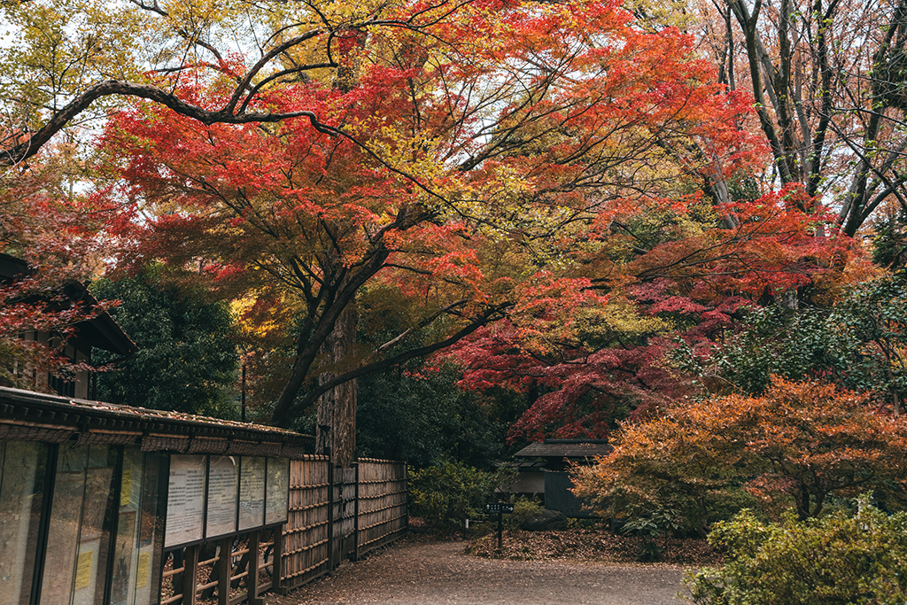 六義園