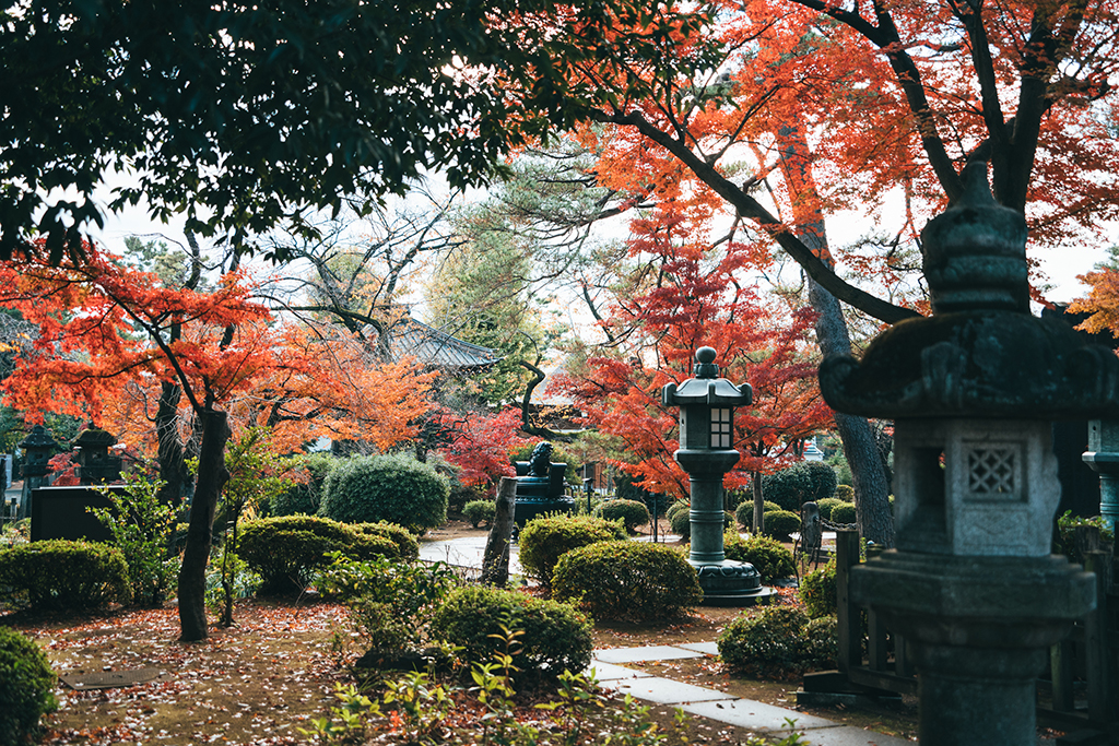 豪德寺