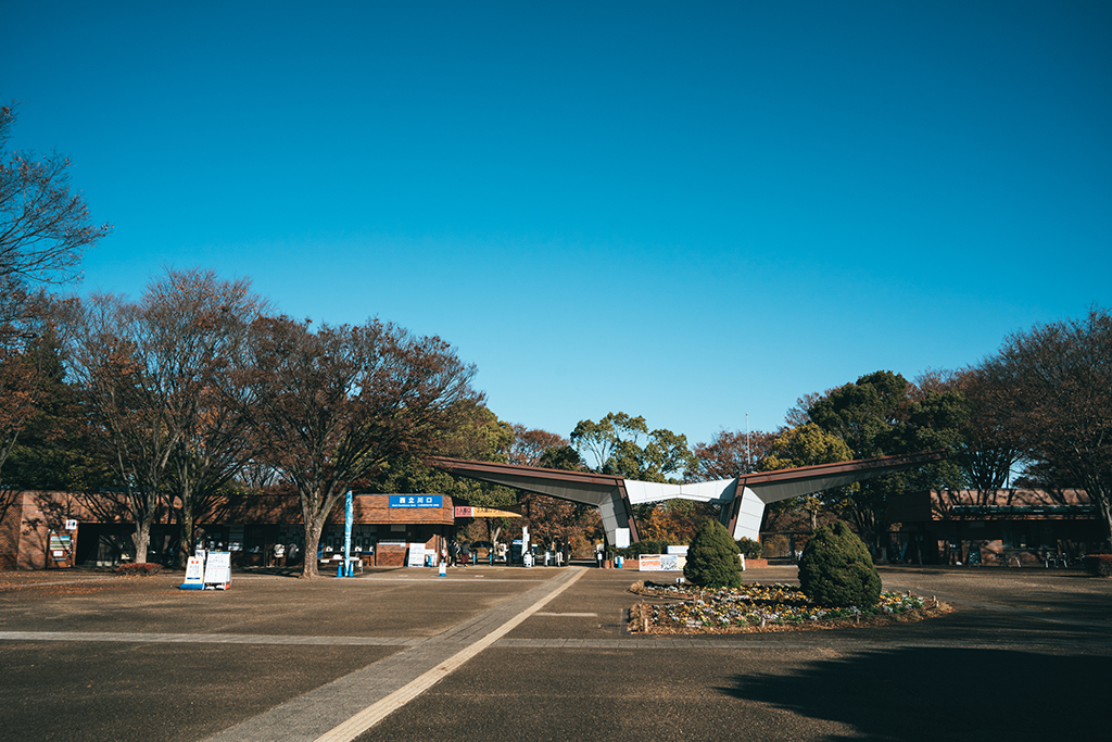 国営昭和記念公園