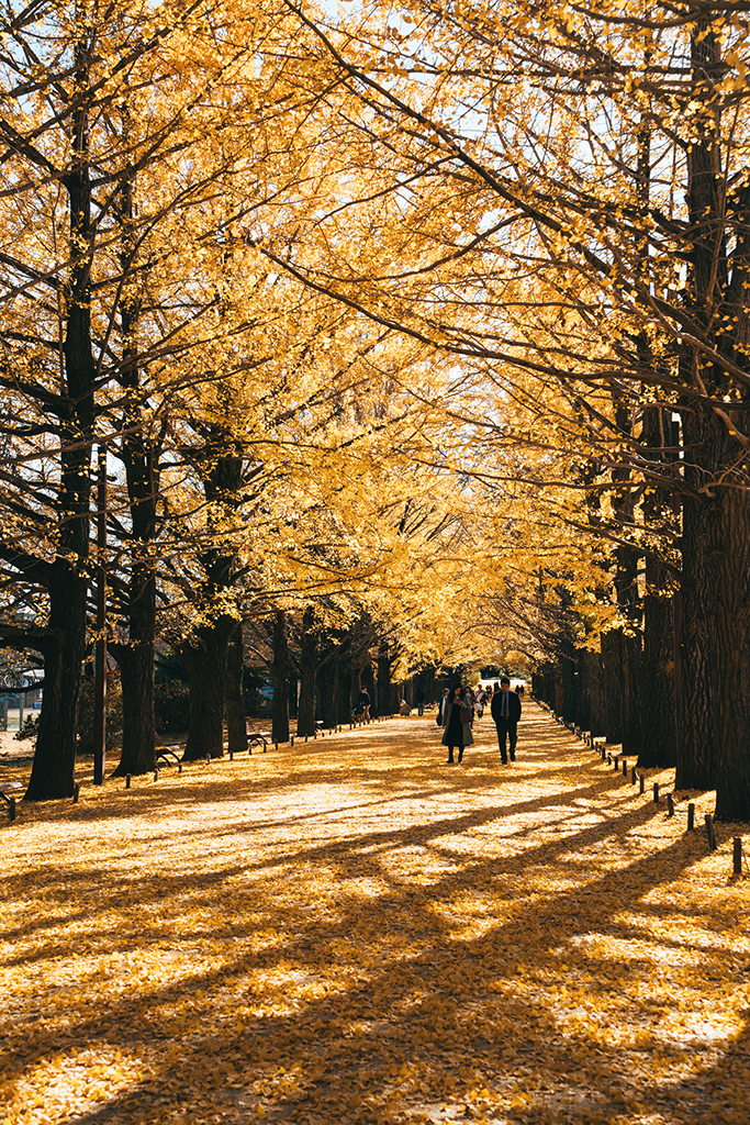 国営昭和記念公園