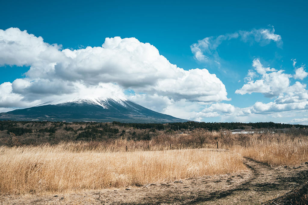 富士山