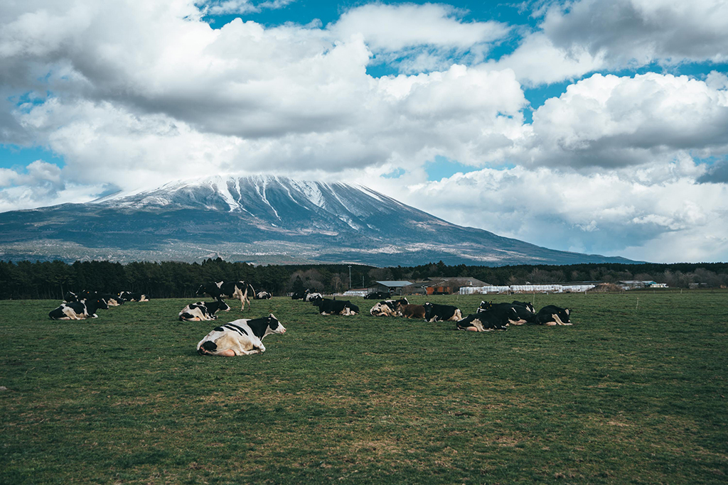 富士山