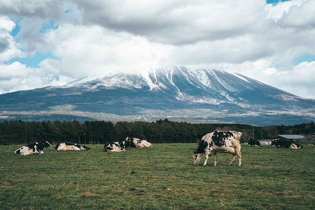 富士山