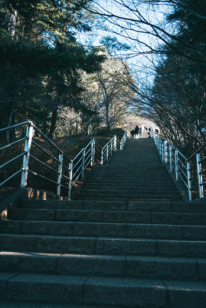 新倉山淺間公園