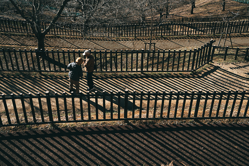 新倉山淺間公園