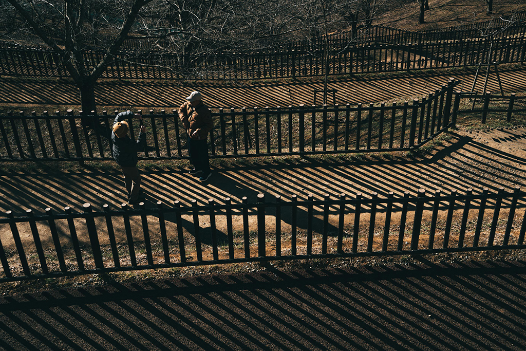 新倉山淺間公園