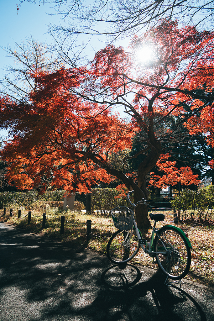 昭和紀念公園