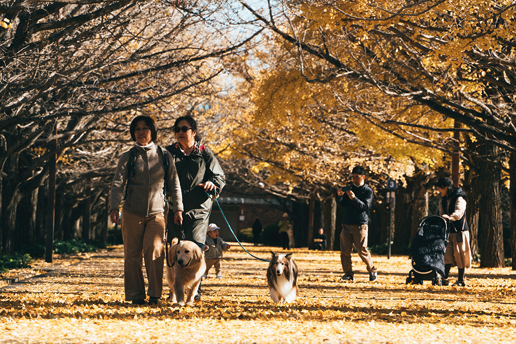 昭和紀念公園
